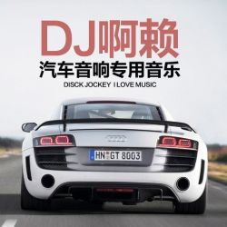 【酷音领域】《激情劲爆2014车载顶级重低音乐串烧》-DJ啊赖