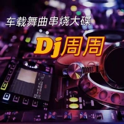 张国荣_-_暴风一族_Djzhou_Remix