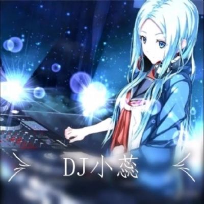 DJ小蕊-【把酒言欢】动感DJ车载
